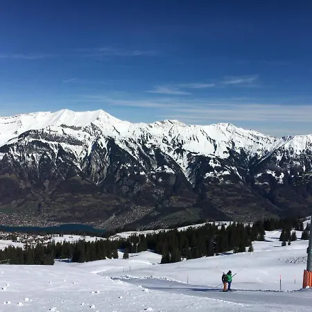 Apartment Chutzli Axalp
